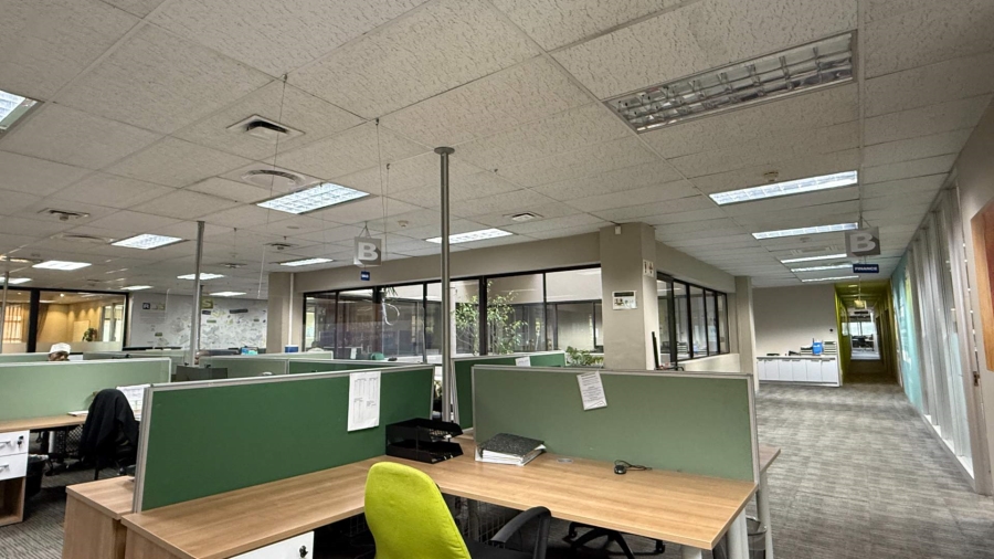 To Let Commercial Property for Rent in De Waterkant Western Cape